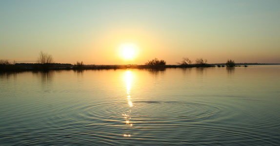 Vista de la piscina